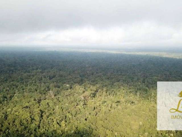 Área de 339.157 m² , Praia de Leste - Pontal do Paraná/PR