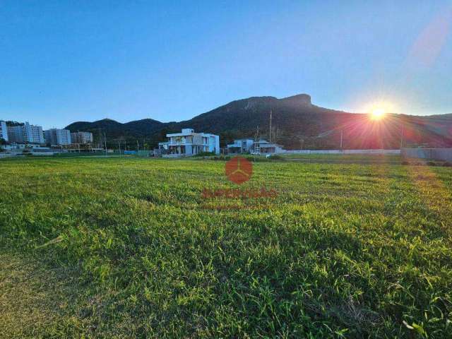 Terreno à venda, 300 m² por R$ 890.000,00 - Pedra Branca - Palhoça/SC