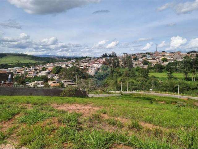 Lote no bairro vila veneza