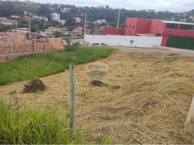 Oportunidade  lote  no  bairro  santo  agostinho!