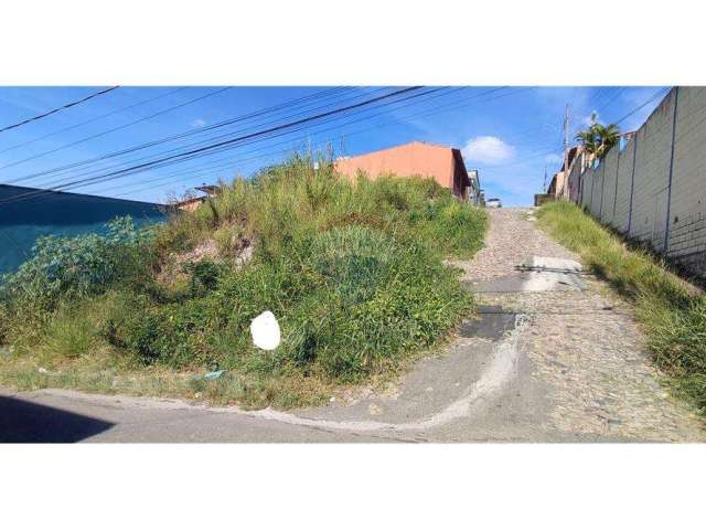 Terreno á venda no bairro  santa  terezinha  !