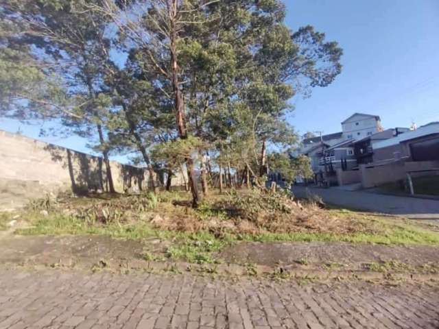 Terreno à venda na Rua João Antônio de Mattos, Salgado Filho, Caxias do Sul por R$ 209.500