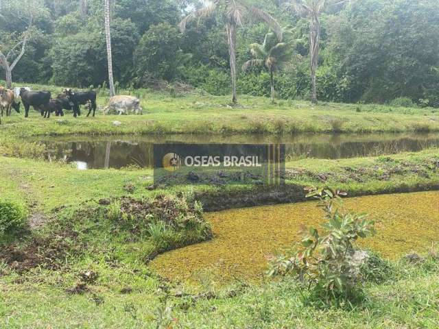 Fazenda em Arraial D'ajuda - Porto Seguro, BA