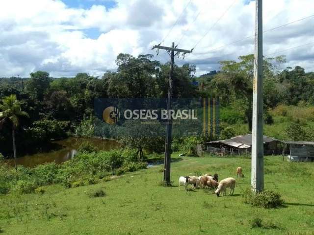 Fazenda em Santo Antônio - Itabuna, BA