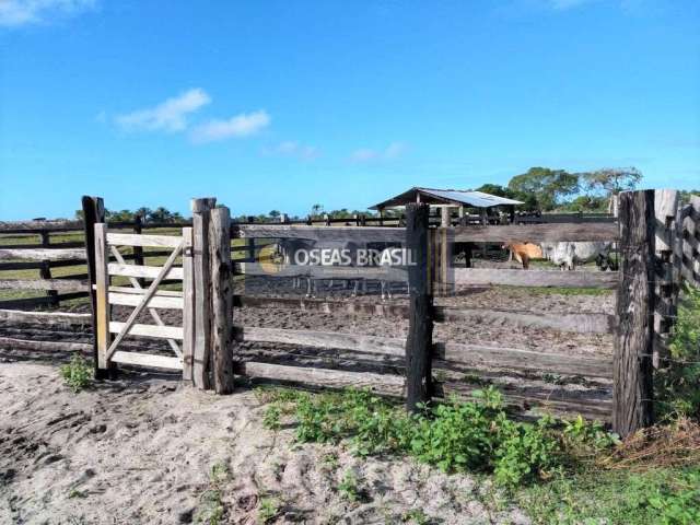 Fazenda em Mogiquiçaba  -  Belmonte