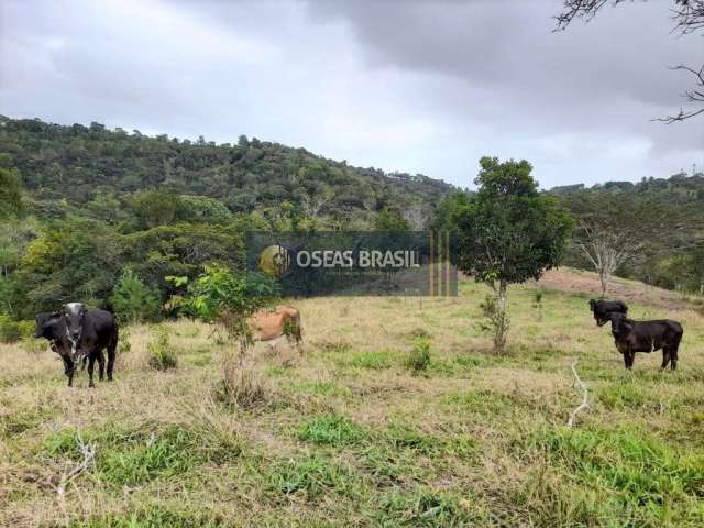 Fazenda em Vera Cruz - Porto Seguro, BA