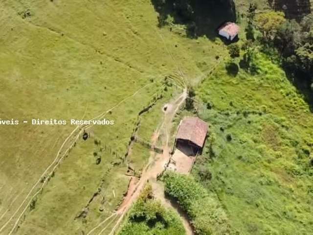 Sítio de 5.5 alqueires em piracaia - 12 minutos do centro - 80% pasto