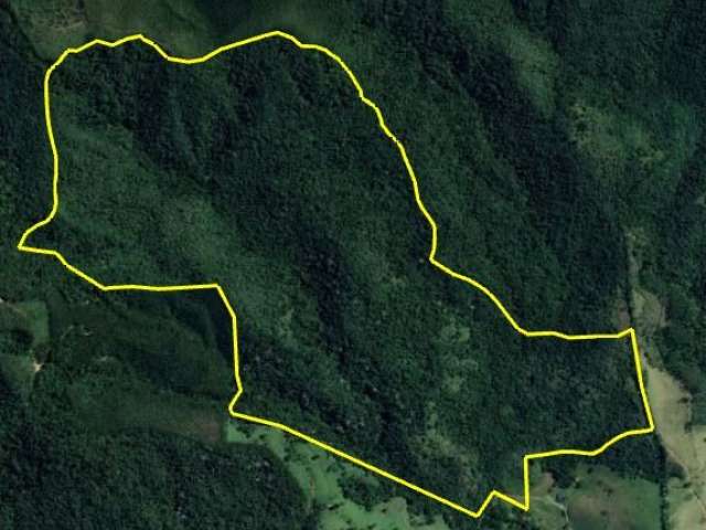 área de 45 alqueires - 108 hectares - para reposição ambiental