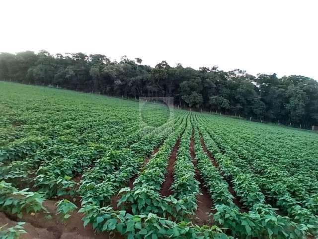 Terreno em Bairro Limal  -  Piedade