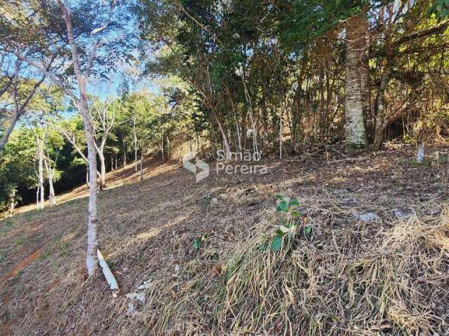 Terreno à venda, em ótima localização do condomínio Fazendinhas de Simão pereira Simão Pereira, MG