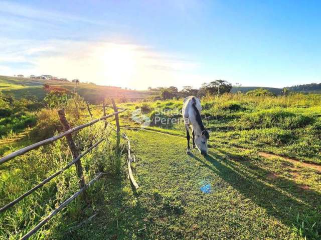 Sítio à venda, São Francisco de Assis, Matias Barbosa, MG