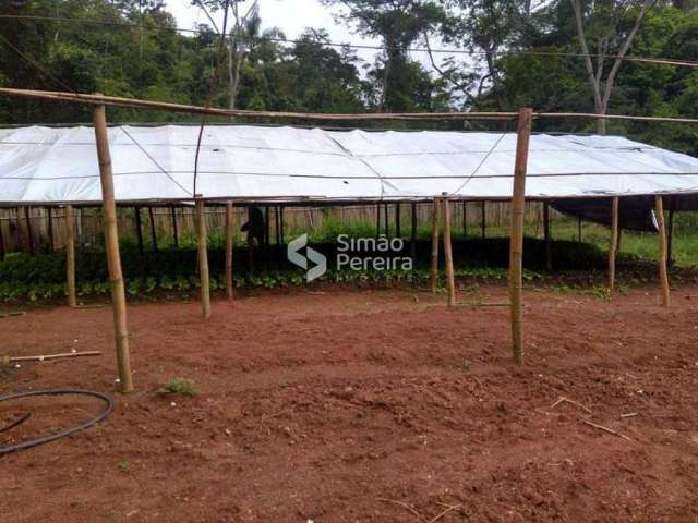 Sítio para venda com 6 Alqueires como bastante água em Simão Pereira MG