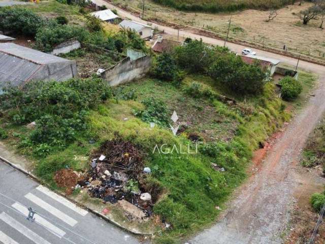 Terreno à venda, 416 m² por R$ 220.000,00 - Iguaçu - Fazenda Rio Grande/PR