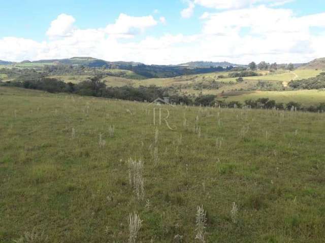 Sítio à venda ou troca, Rural, SAO SEBASTIAO DO PARAISO - MG