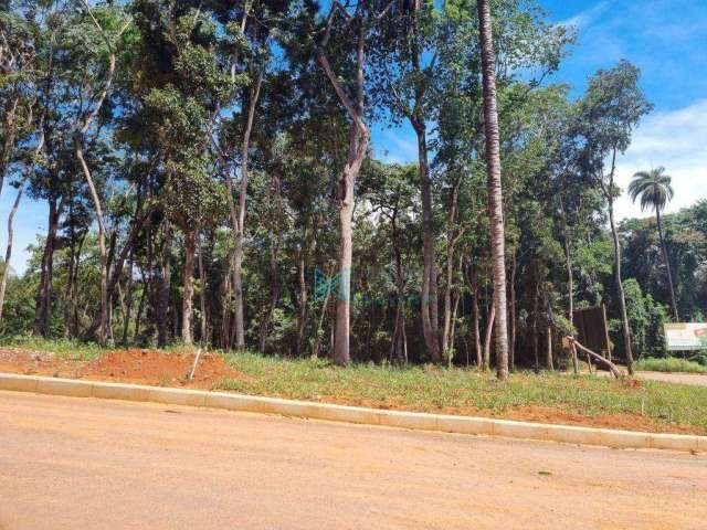 Terreno à venda, 360 m² por R$ 180.000,00 - Parque das Borboletas - Lagoa Santa/MG