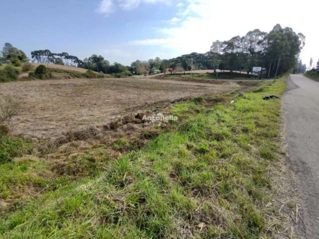 Terreno para venda  no Bairro Forqueta em Caxias do Sul