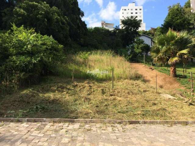 Terreno para venda  no Bairro Panazzolo em Caxias do Sul