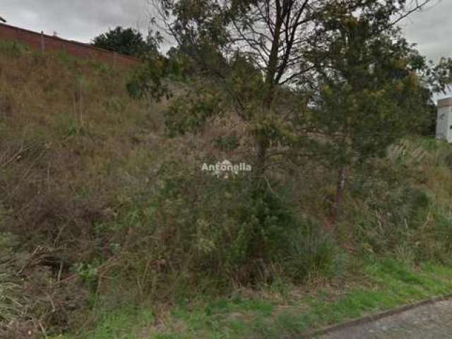 Terreno para venda  no Bairro Vinhedos em Caxias do Sul