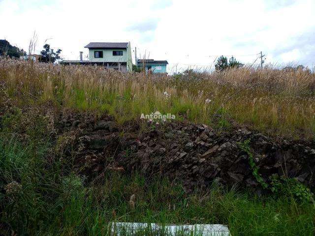 Terreno para venda  no Bairro Nossa Senhora das Graças em Caxias do Sul