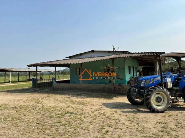 Fazenda para venda em Juquia