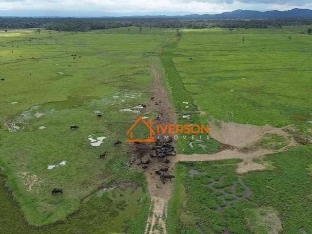 Fazenda para venda em Registro