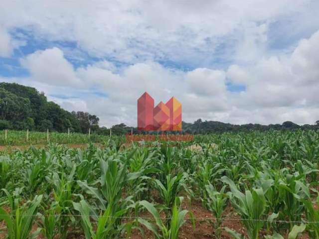 Terreno à venda na Rodovia PR 423 Km 6,5, s/n, Campina das Pedras, Araucária, 2000 m2 por R$ 350.000