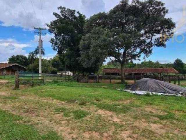 Fazenda a VENDA, 66 alqueires, Região Bauru