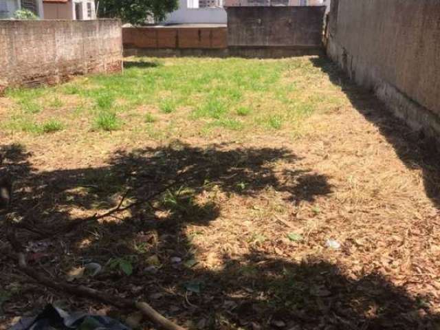 Bauru/SP, JD Higienópolis, terreno 726m², murado