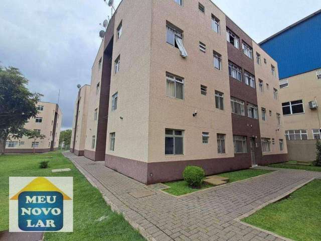 Apartamento com 3 dormitórios à venda, em frente ao Mafrei Fazendinha!