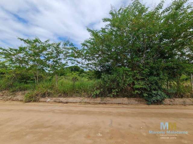 Terreno à venda, 3000 m² por R$ 320.000,00 - Arraial Dajuda - Porto Seguro/BA