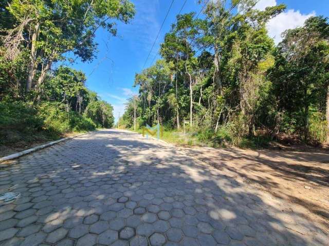 Oportunidade! Arraial Dajuda! Lotes á 700 metros da praia!