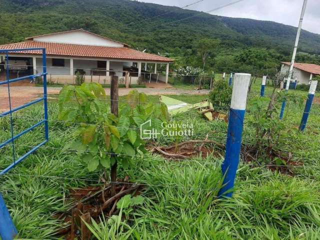 Chácara em Pirenópolis com 5 Alqueires, Abundância de Água e Infraestrutura Completa