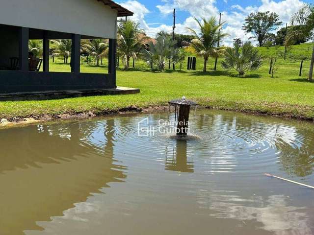 Fazenda de 90 alqueires , boa de água, ideal para pecuária