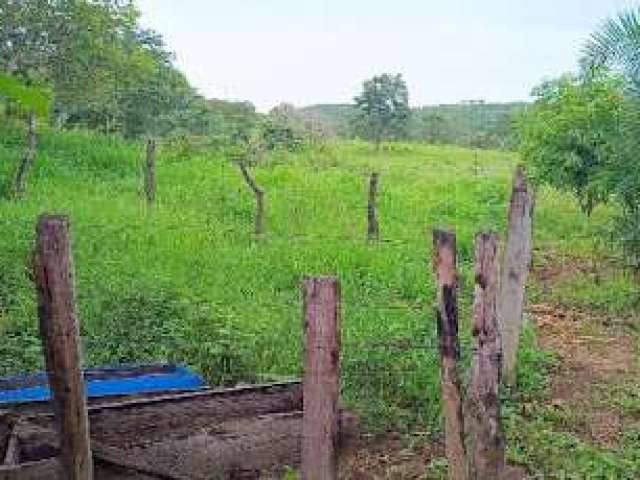 Chácara à venda por R$ 750.000 - Zona Rural - Cocalzinho de Goiás/GO