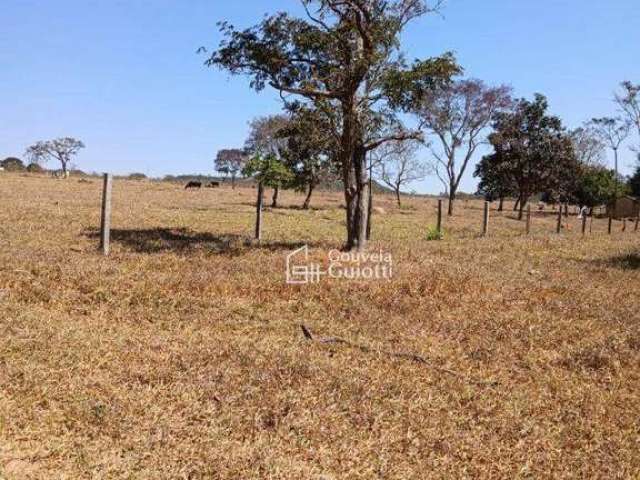 Chácara em Alexânia - 3 alqueires e 27 litros com topografia plana e córrego