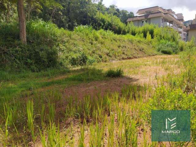 Terreno à venda, 20000 m² por R$ 2.000.000,00 - Várzea - Teresópolis/RJ