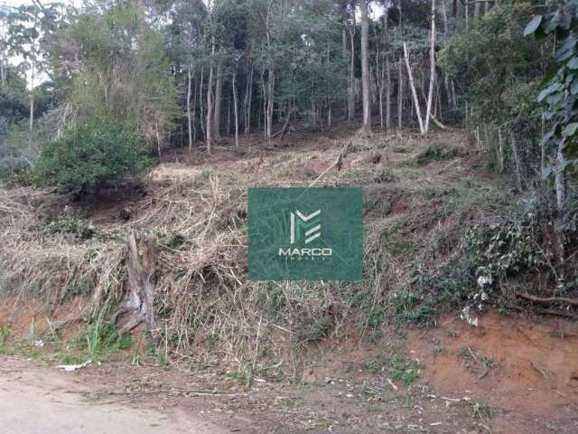 Terreno à venda, 1250 m² por R$ 650.000 - Vargem Grande - Teresópolis/RJ