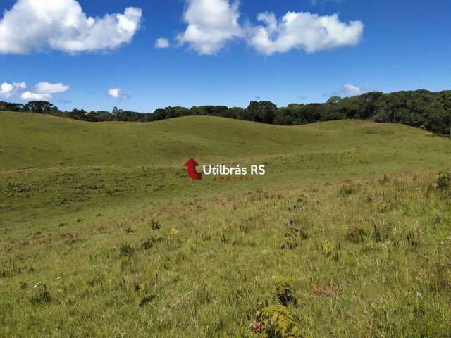 Área a venda em São Francisco de Paula