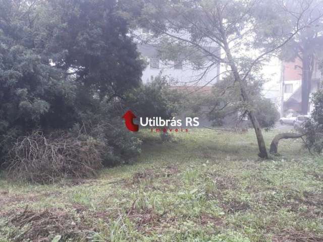 Terreno na Vila Maggi - Canela.