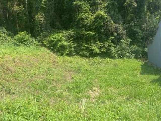 Terreno para Venda em Santa Cruz do Sul, Country