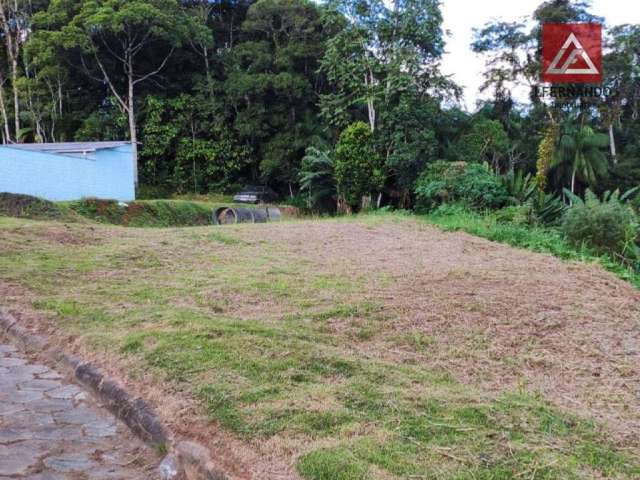 Terreno à venda, 812 m² por R$ 440.000,00 - Nova Esperança - Blumenau/SC