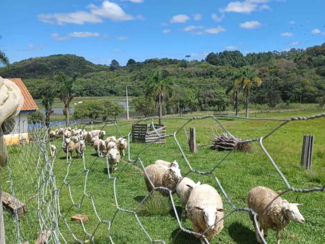 Sito/Chácara 104.500 M² Fazenda Rio Grande/PR