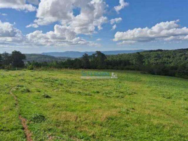 Terreno à venda, 570000 m² por R$ 2.600.000,00 - Zona Rural - Taquara/RS