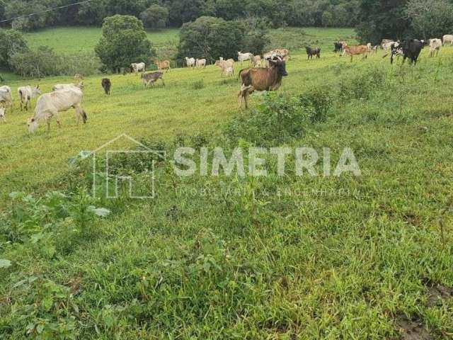 Venda – fazenda linda em pouso alegre - mg!