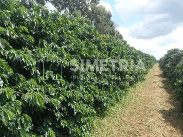 Venda – fazenda de cafeicultura na região entre caconde – sp e muzambinho – mg!