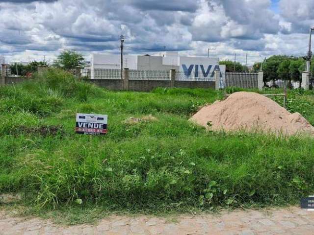 Terreno no Condomínio Vila Real à venda | 330 m², no Bairro do Salgadinho - Patos/PB.