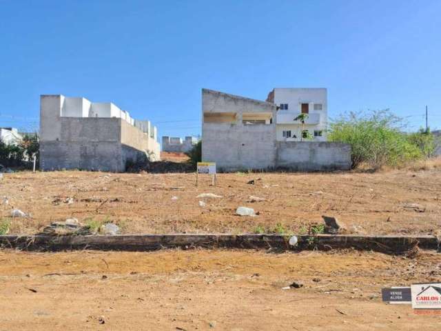 Terrenos a venda, Jardim Magnólia, área alta, frente sul,  medindo 6x31/cada - Patos/PB.