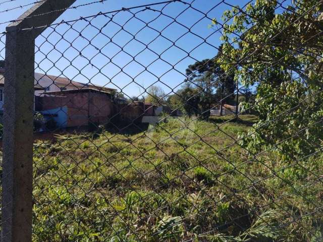 Terreno à venda, 2100 m² por R$ 3.135.000,00 - Centro - Campo Largo/PR