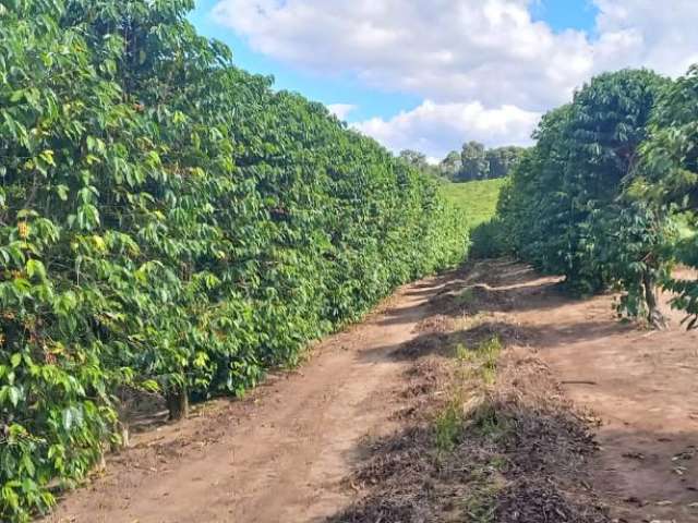 Fazenda de café e pecuária em oliveira MG