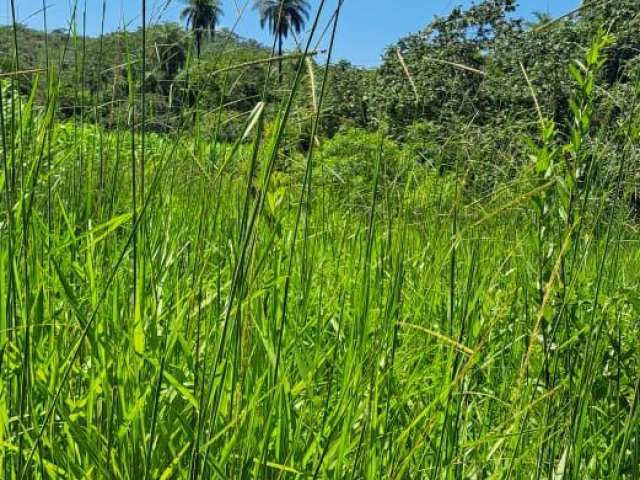 Oportunidade fazenda na região de Curvelo Morro das Garças 333 hectares rica em água terra só Cultura